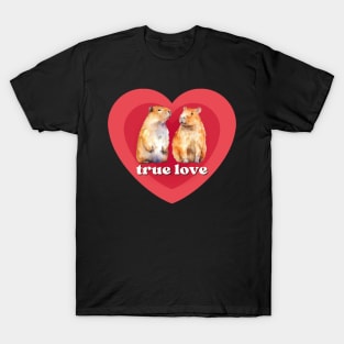 Two Cute Capybaras in Love, Surrounded by Red Hearts. Perfect for Capybara Lovers T-Shirt